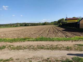 Terreno agricolo in vendita a borgo ticino via santuario s.n.c.