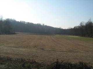 Terreno agricolo in vendita a oleggio via campo sportivo s.n.c.