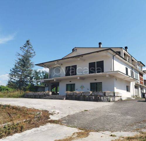 immagine annuncio 1 di 2