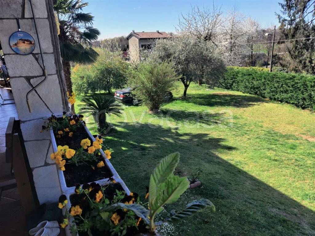 immagine annuncio 3 di 11