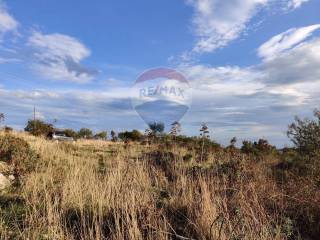 Terreno agricolo in vendita a manfredonia contrada san salvatore, snc