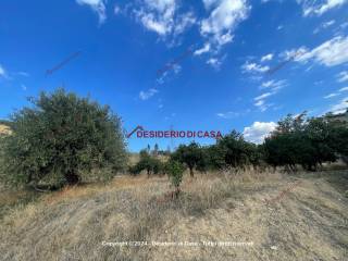 Terreno agricolo in vendita a lascari via monte, 1