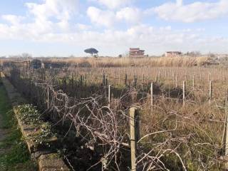 Terreno agricolo in vendita a ciampino via isola del giglio, 11