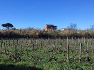 Terreno agricolo in vendita a ciampino via isola del giglio s.n.c.