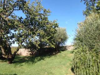 Terreno agricolo in vendita a marino via dante alighieri s.n.c.