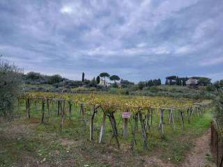 Terreno agricolo in vendita a roma via di casal montani s.n.c.