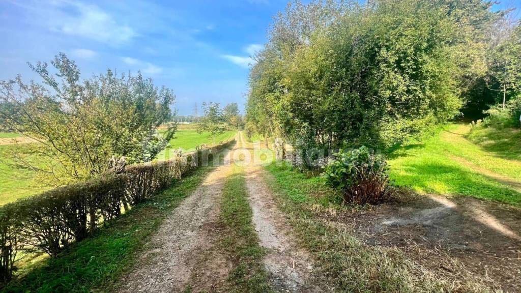 immagine annuncio 3 di 15