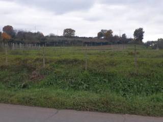 Terreno agricolo in vendita a monte compatri via montecompatri-colonna s.n.c.