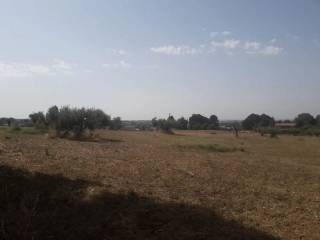 Terreno agricolo in vendita a monte compatri via santa maria le quinte s.n.c.