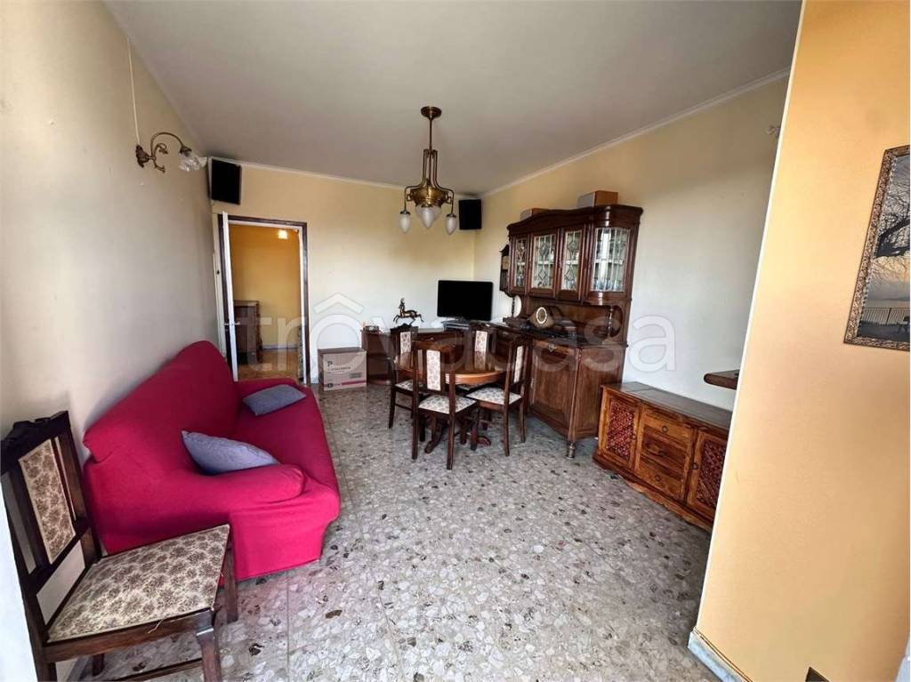 immagine annuncio 1 di 13