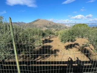 Terreno agricolo in vendita a bagheria strada vicinale feotto