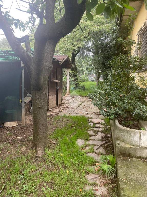 immagine annuncio 11 di 15