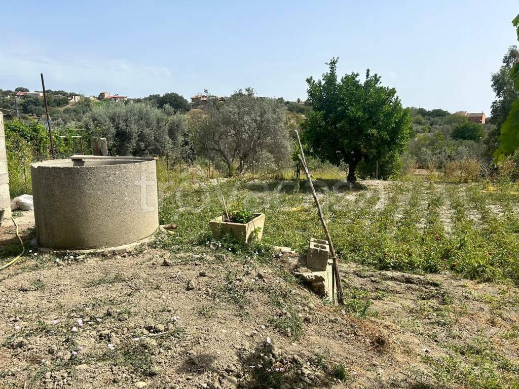 immagine annuncio 6 di 9