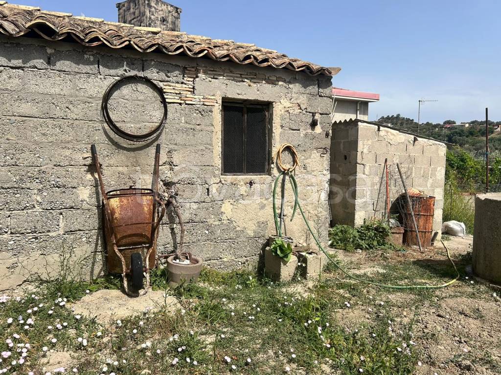 immagine annuncio 7 di 9