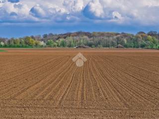 Terreno agricolo in vendita ad asolo via montello, 6