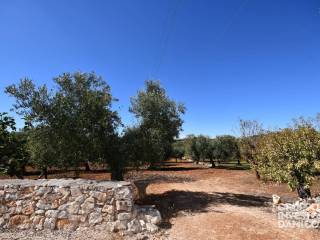 Terreno residenziale in vendita a ostuni contrada badessa