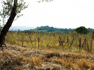 Appartamento in in affitto da privato a castelfiorentino via del vallone, 42