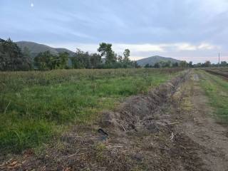 Terreno agricolo in affitto a sessa aurunca località colonne