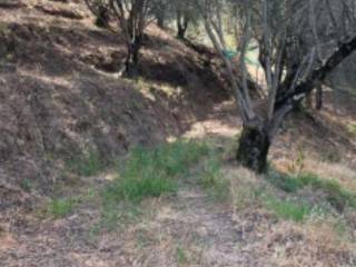 Terreno agricolo in vendita a galatro sp41