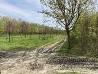 Terreno agricolo in vendita a comacchio strada portorose