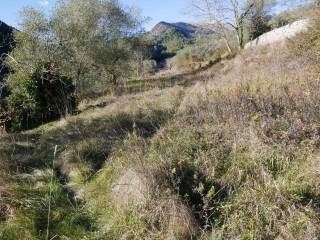 Terreno residenziale in vendita a olivetta san michele 