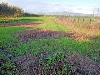 Terreno agricolo in vendita a prato via di bogaia