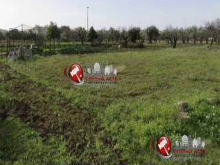 Terreno agricolo in vendita a triggiano via ferrari, 70019 triggiano ba, italia