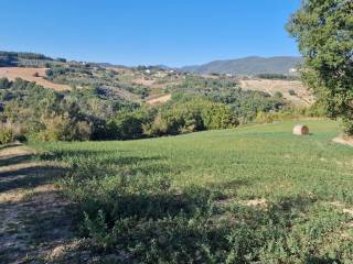 Terreno agricolo in vendita a lugnano in teverina via sasso glorioso, 6