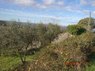 Rustico in vendita a lugnano in teverina sp33