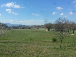 Terreno agricolo in vendita a lugnano in teverina via san francesco