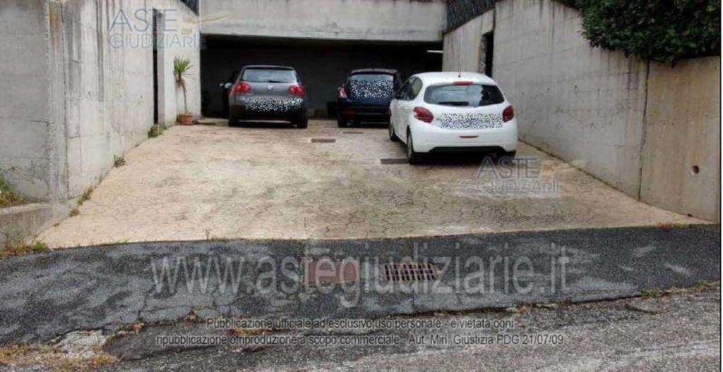 immagine annuncio 12 di 13