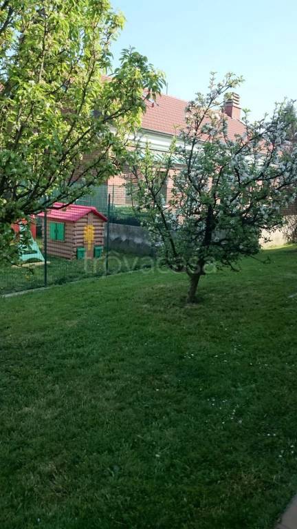 immagine annuncio 8 di 14