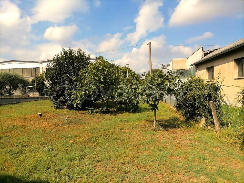 immagine annuncio 5 di 12