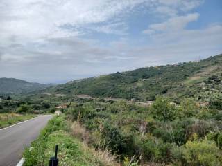 Terreno agricolo in vendita a laureana cilento via benedetto croce