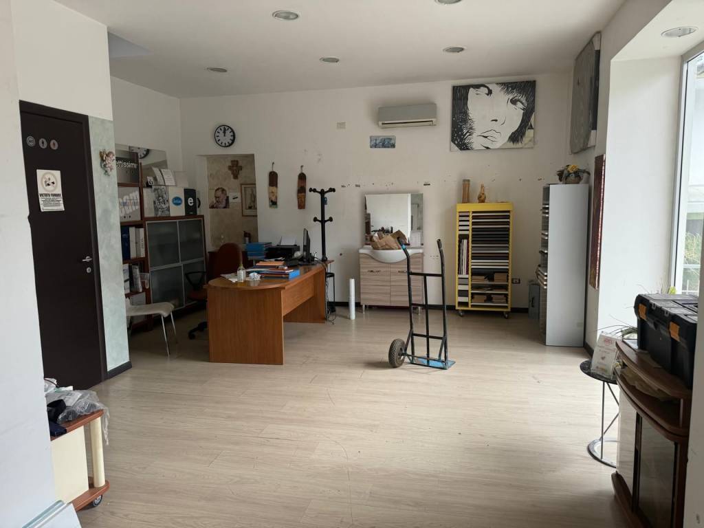 immagine annuncio 3 di 12