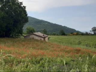 Terreno agricolo in vendita a castelmauro strada comunale viaretta della madonna