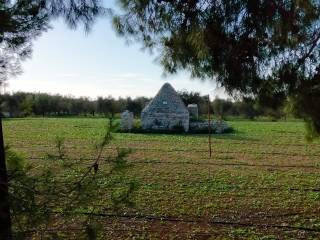 Trullo in vendita a conversano contrada bellasora