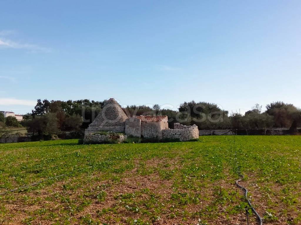 immagine annuncio 5 di 13