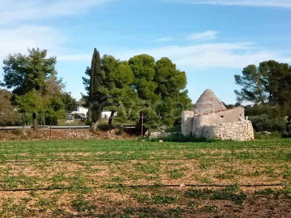 immagine annuncio 6 di 13