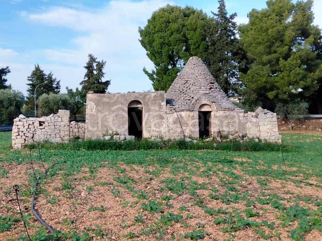 immagine annuncio 7 di 13