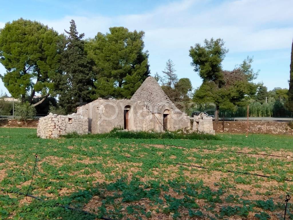 immagine annuncio 10 di 13