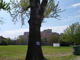 Appartamento in vendita a reggio nell'emilia via gattalupa, 1