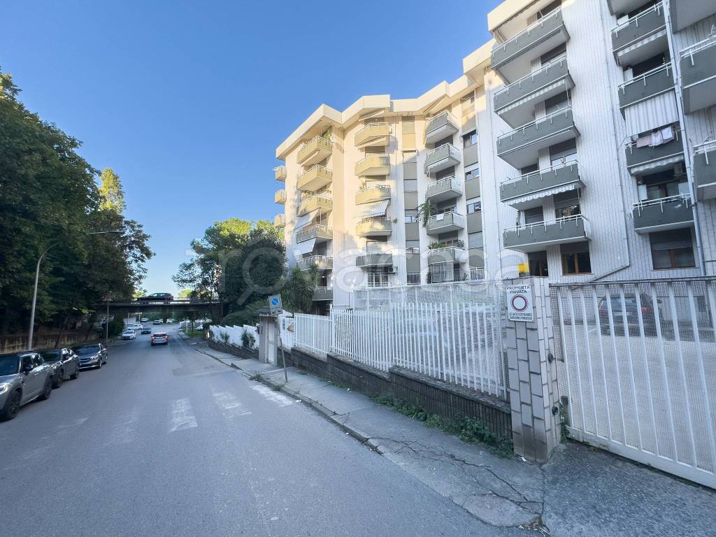immagine annuncio 2 di 4
