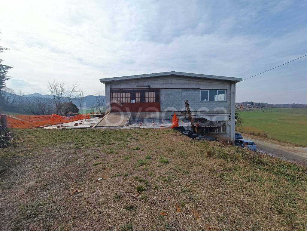 immagine annuncio 2 di 8