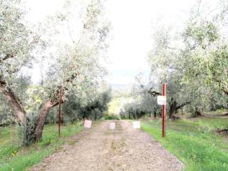 Terreno agricolo in vendita a montelibretti via dei maiali, 6