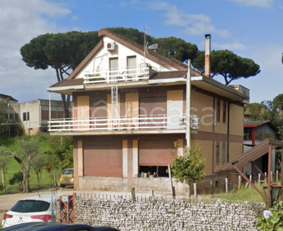 immagine annuncio 5 di 11