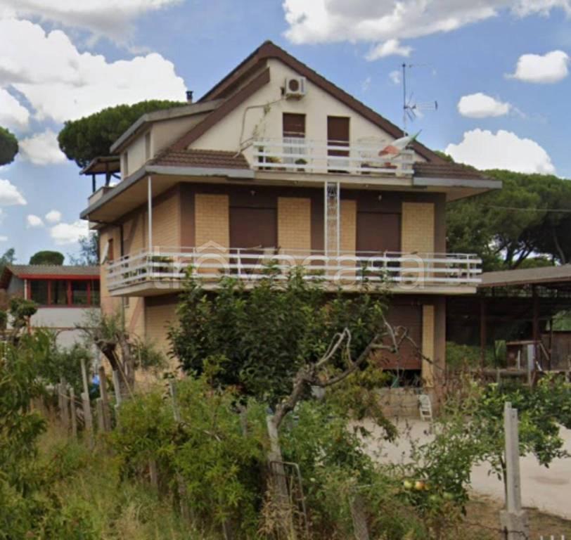 immagine annuncio 8 di 11