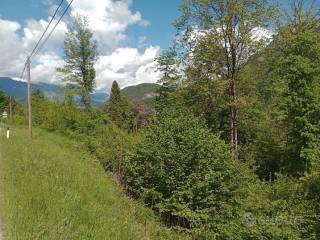 Terreno agricolo in vendita a borgo valsugana strada provinciale di borgo valsugana