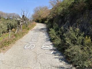 Appartamento all'asta a reggio di calabria via marina