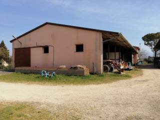 Capannone industriale in vendita a montelibretti via dei girasoli